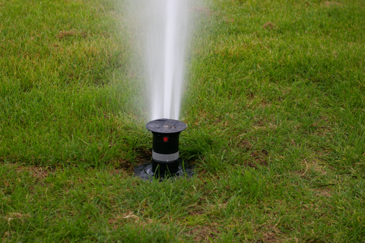 Toro Pop-up Sprinkler